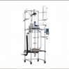 Chemical Vacuum Mixing Reaction Vessel 50L Jacketed Glass Reactor in Laboratory